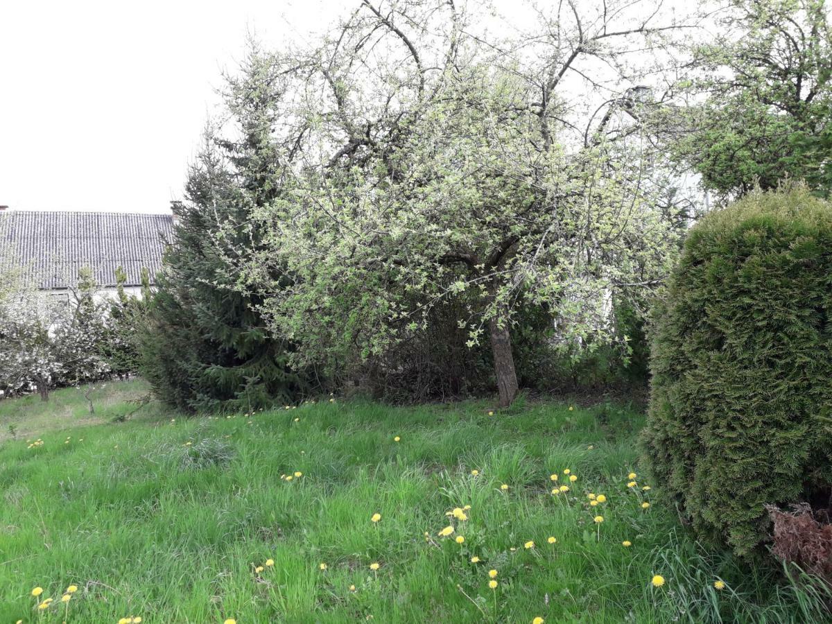 Vakantie Boerderij De Boerenzwaluw Karl Exterior foto